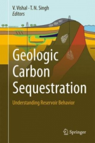 Книга Geologic Carbon Sequestration V. Vishal