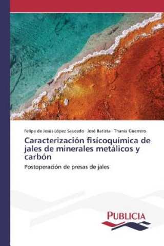 Kniha Caracterizacion fisicoquimica de jales de minerales metalicos y carbon Lopez Saucedo Felipe De Jesus