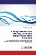 Könyv Sinergeticheskie metody ocenki jeffektivnosti lecheniya Alexandr Hadarcev