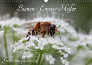 Calendar / Agendă Bienen - Emsige Helfer (Wandkalender immerwährend DIN A3 quer) Silvia Hahnefeld