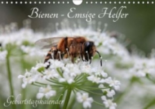 Calendar / Agendă Bienen - Emsige Helfer (Wandkalender immerwährend DIN A4 quer) Silvia Hahnefeld