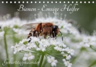 Kalendář/Diář Bienen - Emsige Helfer (Tischkalender immerwährend DIN A5 quer) Silvia Hahnefeld