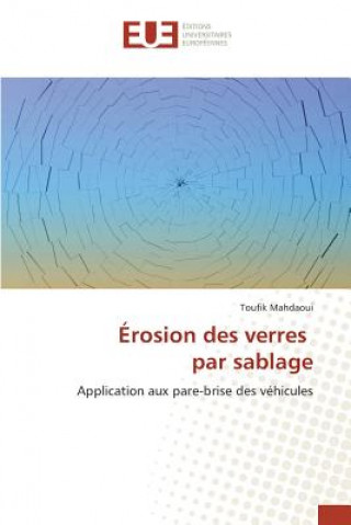 Könyv Erosion Des Verres Par Sablage Mahdaoui-T