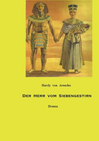 Kniha Herr vom Siebengestirn Hardy von Arendes