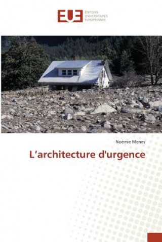 Könyv L'Architecture Durgence Meney-N