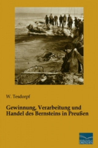 Carte Gewinnung, Verarbeitung und Handel des Bernsteins in Preußen W. Tesdorpf