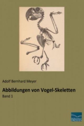 Könyv Abbildungen von Vogel-Skeletten Adolf Bernhard Meyer