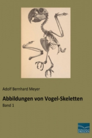 Kniha Abbildungen von Vogel-Skeletten Adolf Bernhard Meyer