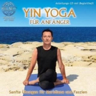 Audio Yin Yoga Für Anfänger, 1 Audio-CD Chris