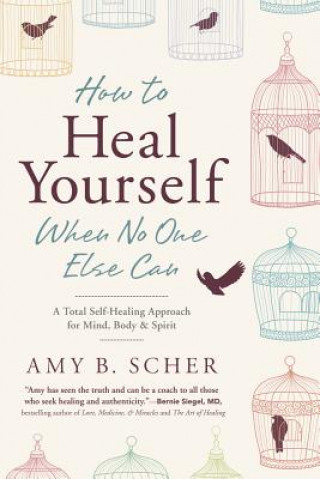 Carte How to Heal Yourself When No One Else Can Amy B Scher