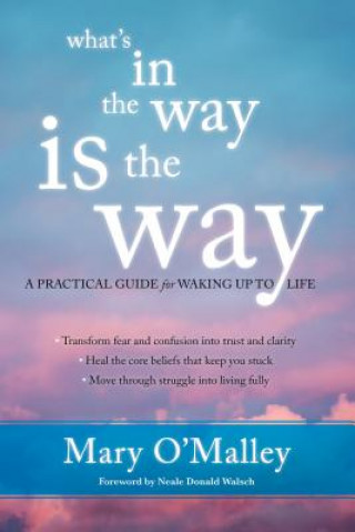 Book What's in the Way Is the Way Mary OMalley