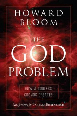 Könyv God Problem Howard Bloom