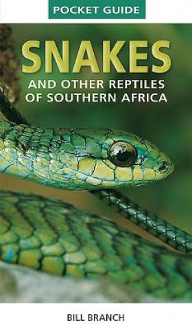 Książka Pocket Guide to Snakes and other reptiles of Southern Africa Bill Branch