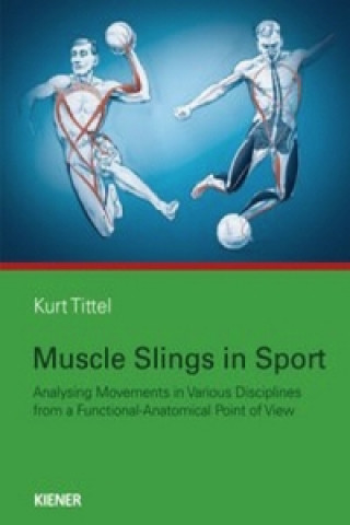 Kniha Muscle Slings in Sport Kurt Tittel