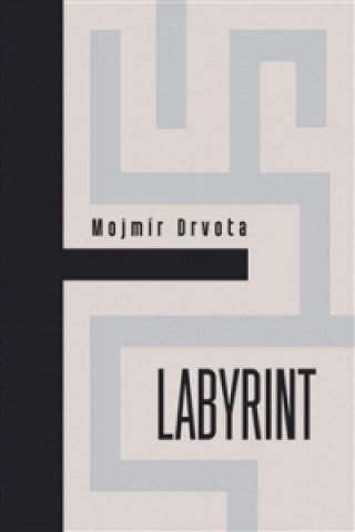Kniha Labyrint Mojmír Drvota