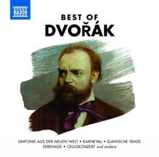 Audio Best of Dvorák, 1 Audio-CD Various