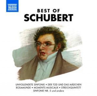 Audio Best of Schubert, 1 Audio-CD Franz Schubert