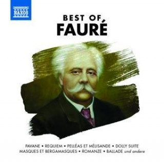 Audio Best of Fauré, 1 Audio-CD Various