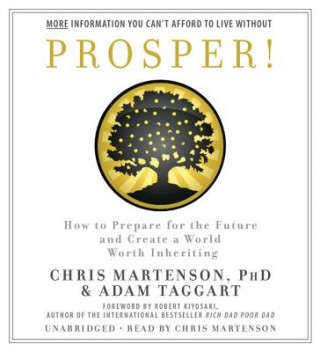 Audio Prosper! Chris Martenson