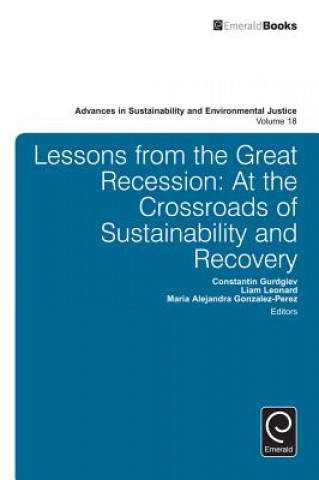 Kniha Lessons from the Great Recession Constantin Gurdgiev