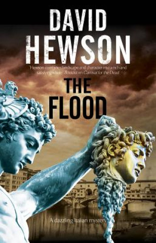 Kniha Flood David Hewson