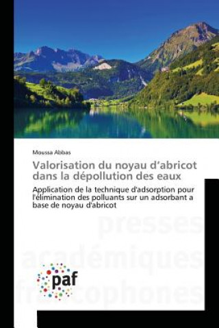 Knjiga Valorisation Du Noyau d'Abricot Dans La Depollution Des Eaux Abbas-M