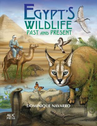 Kniha Egypt's Wildlife Dominique Navarro