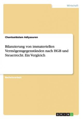 Knjiga Bilanzierung von immateriellen Vermoegensgegenstanden nach HGB und Steuerrecht. Ein Vergleich Chantsaldulam Adiyasuren