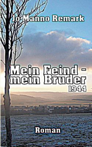 Kniha Mein Feind - mein Bruder Jo Manno Remark