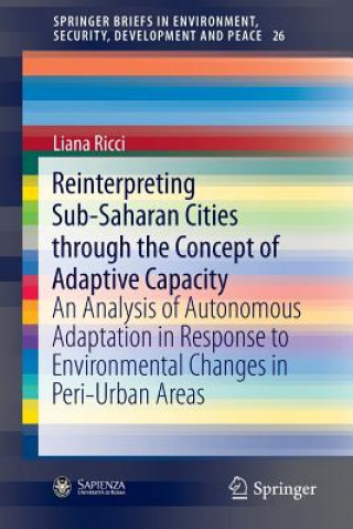 Buch Reinterpreting Sub-Saharan Cities through the Concept of Adaptive Capacity Liana Ricci