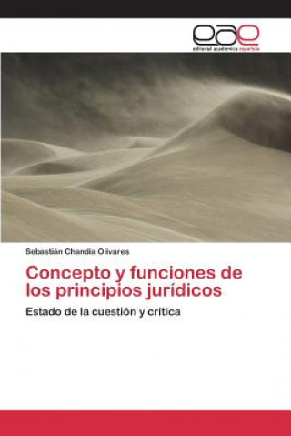 Könyv Concepto y funciones de los principios juridicos Chandia Olivares Sebastian