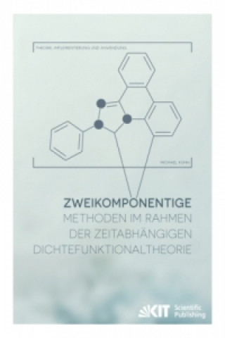 Könyv Zweikomponentige Methoden im Rahmen der zeitabhängigen Dichtefunktionaltheorie - Theorie, Implementierung und Anwendung Michael Kühn