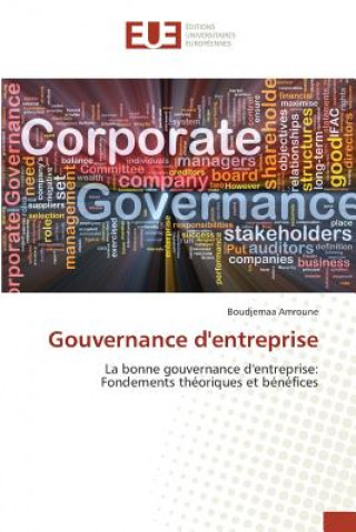 Kniha Gouvernance Dentreprise Amroune-B