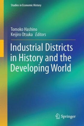 Książka Industrial Districts in History and the Developing World Tomoko Hashino