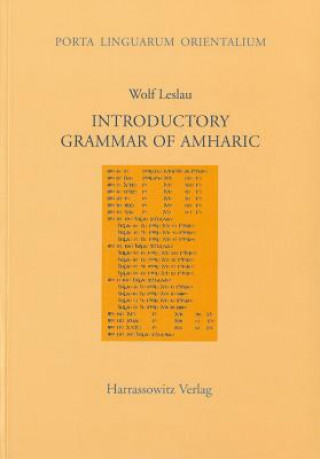 Carte Introductory Grammar of Amharic Wolf Leslau