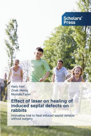 Книга Effect of laser on healing of induced septal defects on rabbits Atef Hady