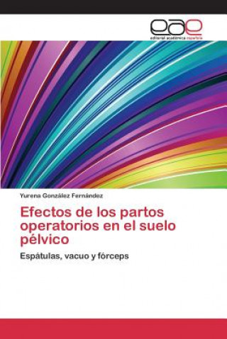 Kniha Efectos de los partos operatorios en el suelo pelvico Gonzalez Fernandez Yurena