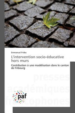 Könyv L'Intervention Socio-Educative Hors Murs Fridez-E
