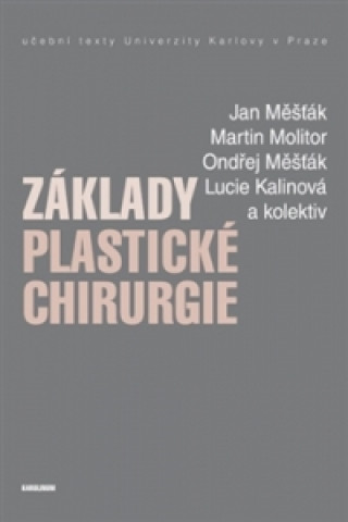 Könyv Základy plastické chirurgie Jan Měšťák