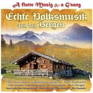Audio Echte Volksmusik aus den Bergen, 1 Audio-CD Various