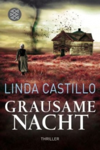 Kniha Grausame Nacht Linda Castillo