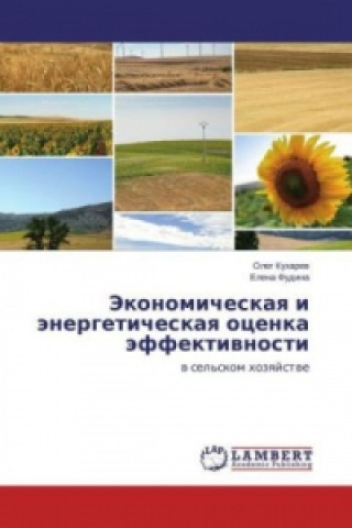 Kniha Jekonomicheskaya i jenergeticheskaya ocenka jeffektivnosti Oleg Kuharev