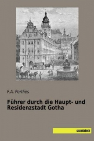 Carte Führer durch die Haupt- und Residenzstadt Gotha F. A. Perthes