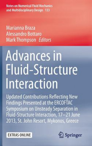 Könyv Advances in Fluid-Structure Interaction Marianna Braza