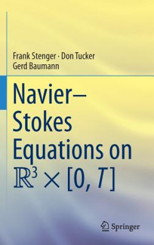 Книга Navier-Stokes Equations on R3 x [0, T] Frank Stenger
