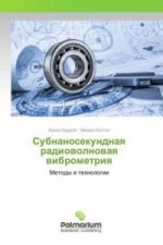 Könyv Subnanosekundnaya radiovolnovaya vibrometriya Irina Budagyan