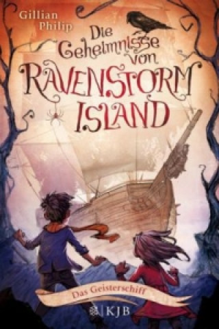 Könyv Die Geheimnisse von Ravenstorm Island - Das Geisterschiff Erin Hunter