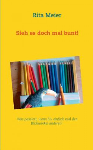 Buch Sieh es doch mal bunt! Rita Meier