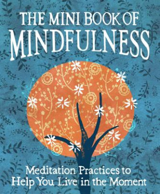 Carte Mini Book of Mindfulness Camilla Sanderson