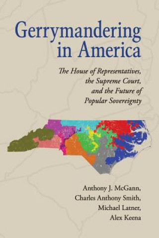 Kniha Gerrymandering in America Anthony J. McGann